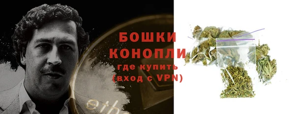 спайс Гусев