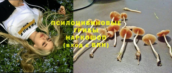 стафф Абаза