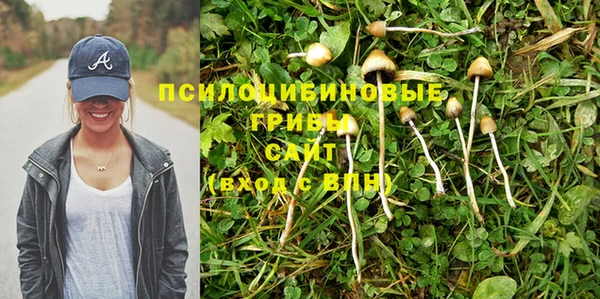 стафф Абаза