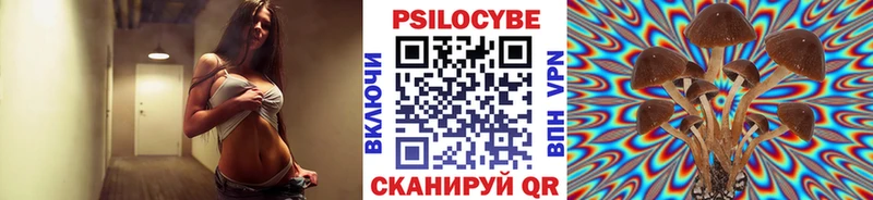 Галлюциногенные грибы MAGIC MUSHROOMS  мега tor  Каменногорск 